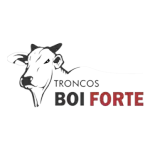 Ícone da TRONCOS BOI FORTE COMERCIO DE MADEIRAS LTDA