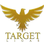 TARGET IMPORTACAO E EXPORTACAO TRANSPORTES E COMERCIO DE METAIS LTDA