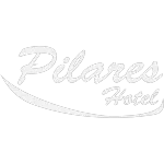 Ícone da HOTEL PILARES LTDA