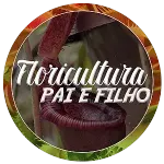 FLORICULTURA PAI E FILHO