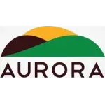 AURORA MINERACAO E INDUSTRIA LTDA