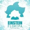 PROJETO EINSTEIN PREVESTIBULARES