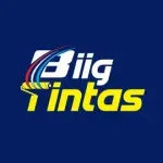 Ícone da BIIG COMERCIO DE TINTAS LTDA