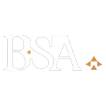 Ícone da BSA SERVICOS CADASTRAIS E CONSULTORIA LTDA