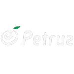 PETRUZ HOLDING