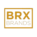 Ícone da BRX BRANDS IMPORTACAO E COMERCIO DE ARTIGOS DO VESTUARIO LTDA