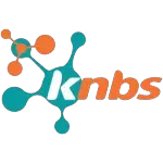 Ícone da KNBS TELECOMUNICACOES E INFORMATICA LTDA