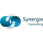 Ícone da SYNERGIE CONSULTORIA LTDA