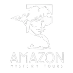 Ícone da E S AMAZON TURISMO LTDA