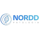 NORDD PATOLOGIA