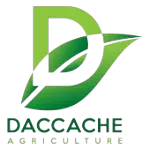 DACCACHE