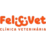 Ícone da FELICIVET CLINICA VETERINARIA LTDA