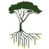 ACACIA ECO