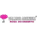 Ícone da ROSA DO DESERTO OLIVEIRA  TERRES REPRESENTACOES LTDA