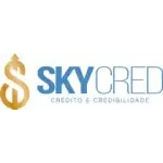 Ícone da SKYONE APOIO EMPRESARIAL LTDA