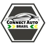 Ícone da CONNECT AUTO BRASIL COMERCIO DE PECAS PARA VEICULOS AUTOMOTORES LTDA