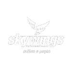 Ícone da SKYWINGS IMPORTACAO E EXPORTACAO LTDA