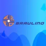 Ícone da EMPRESA BRAULINO F OLIVEIRA LTDA