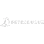 PETRODUQUE 2 TRANSPORTE COMERCIO DE OLEO COMBUSTIVEL LTDA