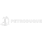 Ícone da PETRODUQUE 2 TRANSPORTE COMERCIO DE OLEO COMBUSTIVEL LTDA