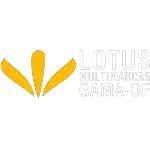 LOTUS MULTIMARCAS