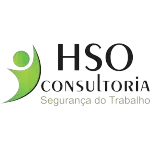 Ícone da HSO CONSULTORIA LTDA