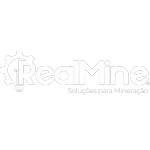 Ícone da REALMINE SOLUCOES LTDA