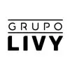 Ícone da LIVY COMERCIO E CONFECCOES LTDA