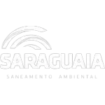 Ícone da SARAGUAIA SANEAMENTO AMBIENTAL DO ARAGUAIA LTDA