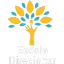 ESCOLA DIRECIONAR EDUCACAO INFANTIL E FUNDAMENTAL