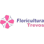 Ícone da FLORICULTURA TREVOS LTDA