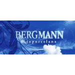 BERGMANN  COSTA LTDA