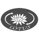 Ícone da LOTUS IMPLANTACAO DE PROJETOS LTDA