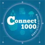 Ícone da CONNECT1000 CONSULTORIA EM GESTAO EMPRESARIAL LTDA