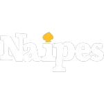 NAIPES CLINICA MEDICA LTDA