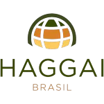 INSTITUTO HAGGAI DO BRASIL