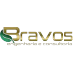 Ícone da BRAVOS COMERCIO E SERVICOS ELETRICOS LTDA