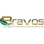 BRAVOS ENGENHARIA