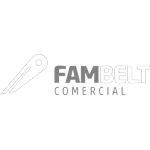 Ícone da FAMBELT COMERCIAL LTDA