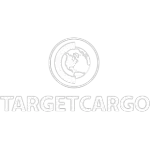 Ícone da TARGET TRANSPORTE DE CARGAS E ENCOMENDAS EXPRESSAS LTDA