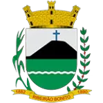 CAMARA MUNICIPAL DE RIBEIRAO BONIRO