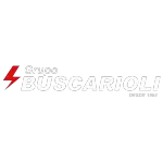 Ícone da BUSCARIOLI INDUSTRIA E COMERCIO DE MOTORES ELETRICOS LTDA