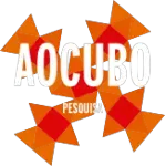 AOCUBO PESQUISA ESTUDOS E CAPACITACAO LTDA