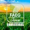 Ícone da ASSOCIACAO DE JOVEM EMPREENDEDORES DO AGRONEGOCIO  FAEG JOVEM IPAMERI