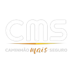 CAMINHAO MAIS SEGURO  SEGUROS E VENDAS LTDA