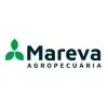 Ícone da MAREVA AGROPECUARIA LTDA