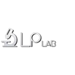 LP LAB