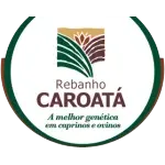 CAROATA ALIMENTOS