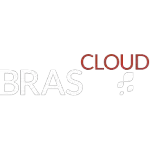 Ícone da BRASCLOUD LTDA