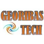 Ícone da GEORIBAS TECH LTDA